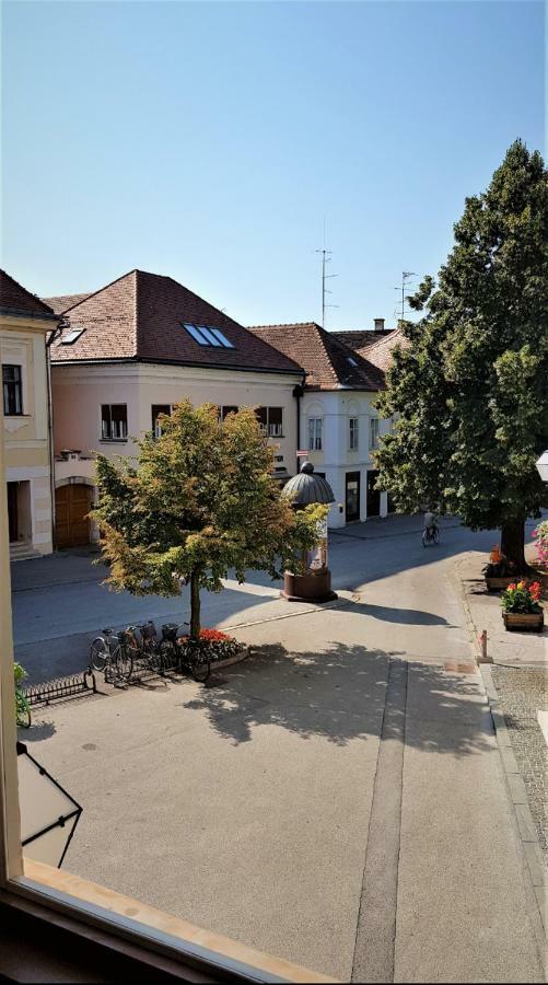 Luxury Apartment In The Heart Of Varaždin Dış mekan fotoğraf